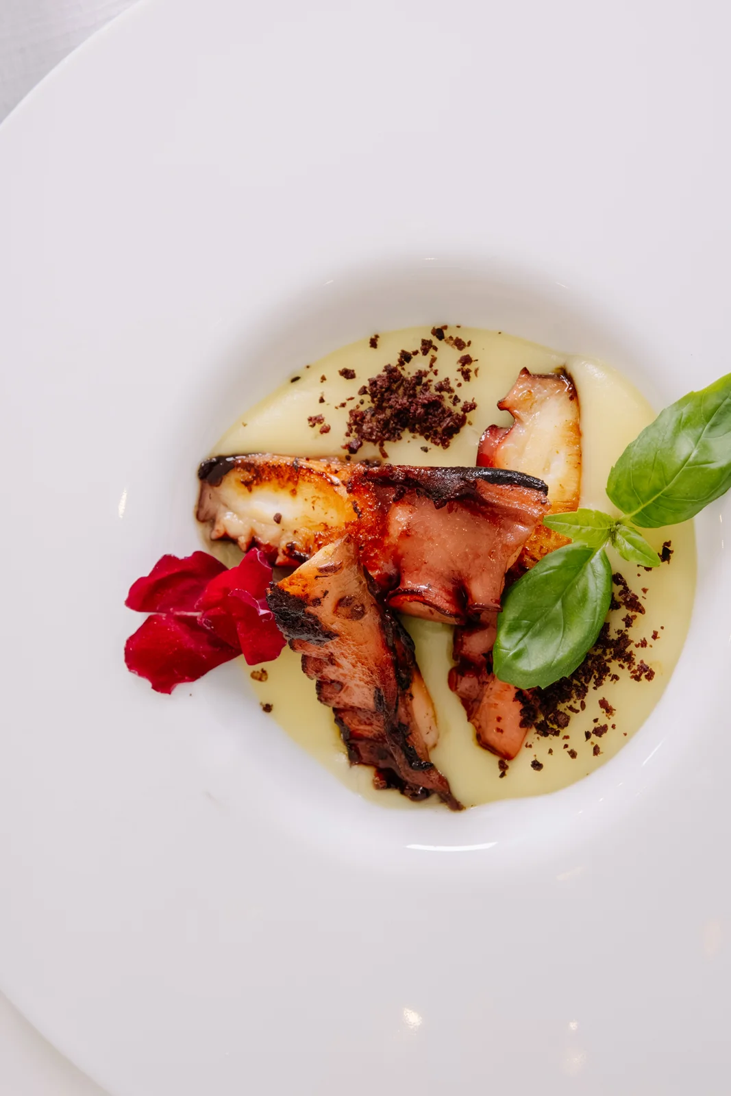 Piatto di polpo gourmet